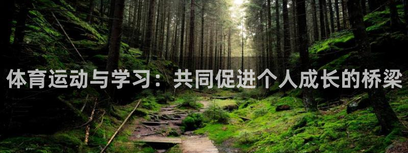 熊猫体育直播