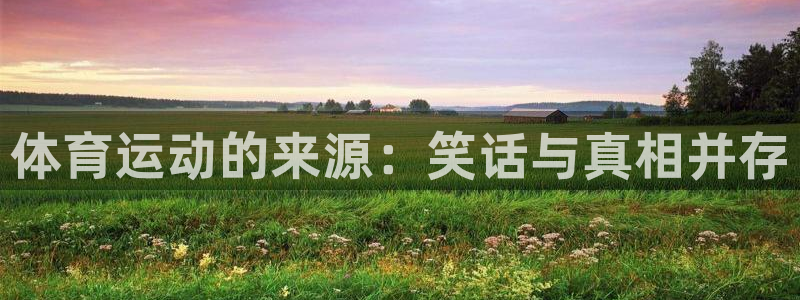 熊猫体育公园价格