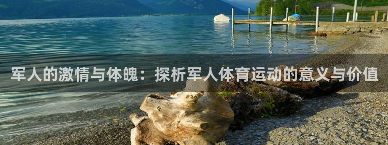 熊猫体育app官网入口