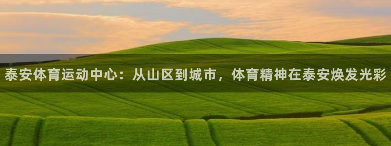 熊猫体育在线观看