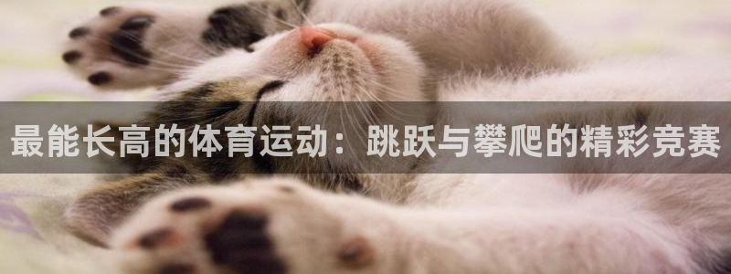 熊猫体育官网首页入口