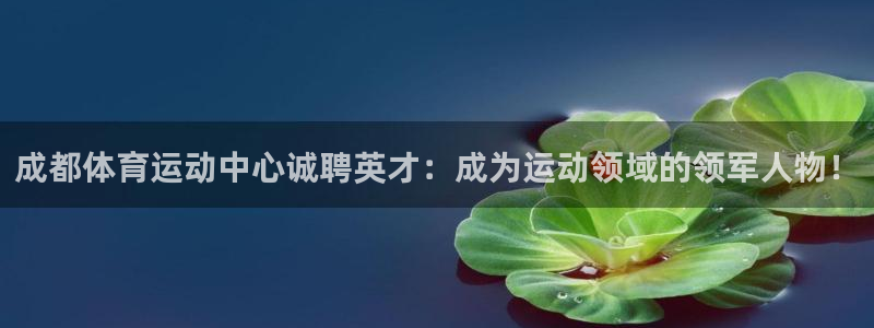 熊猫体育手机版