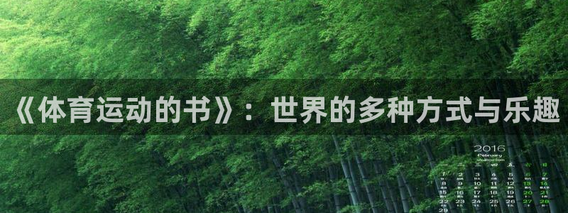 动感熊猫体育公园