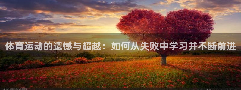 熊猫体育免费下载