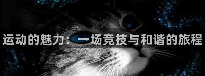 熊猫体育app下载安装