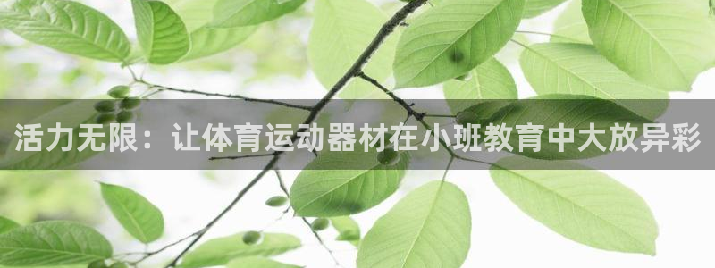 中山熊猫体育