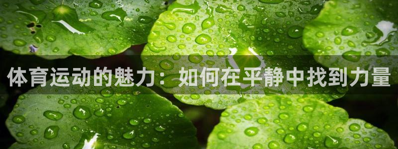 动感熊猫体育公园