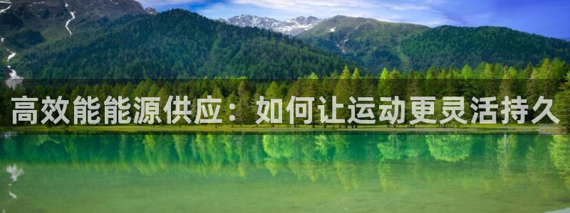 成都金熊猫体育