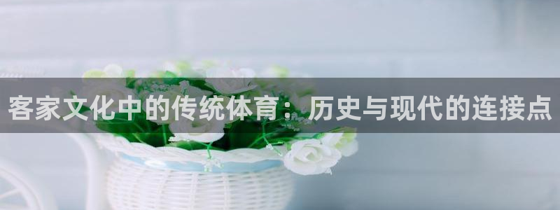 熊猫体育直播nba