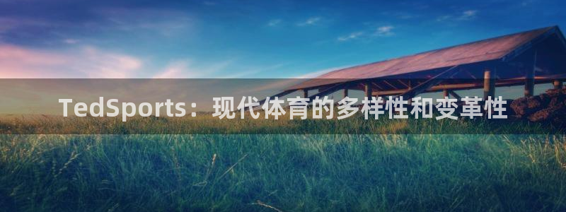 熊猫体育怎么样