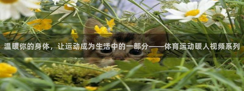 熊猫体育官网首页入口