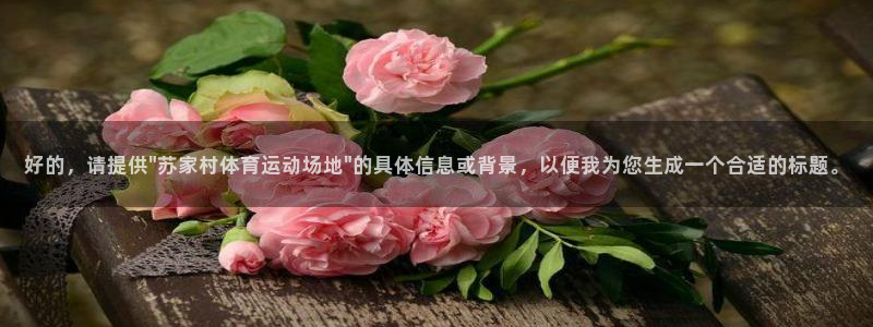 熊猫体育