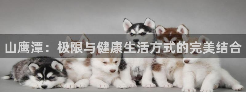 熊猫体育nba