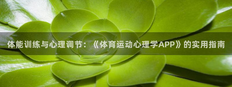 下载熊猫体育