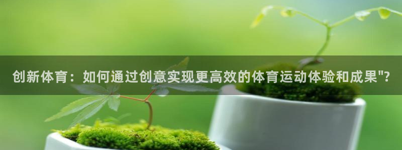 熊猫体育网站