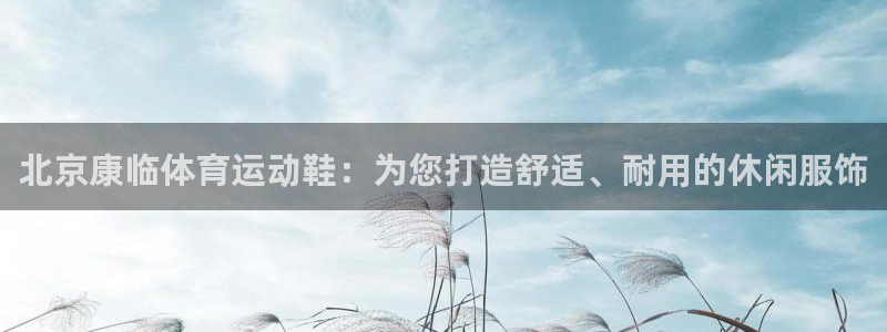 熊猫体育官网首页入口