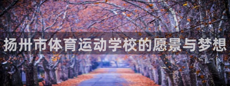 熊猫体育比赛直播